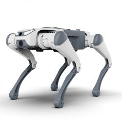 DEEP Robotics