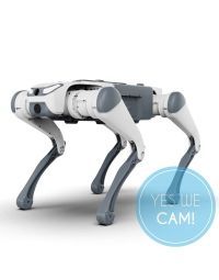 DEEP Robotics SID1 Baisc Roboterdog