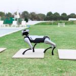 Magicdog EDU Roboterhund steht allein auf Steinplatte im Gartenbereich neben Pool

