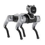 MagicDog PRO Gangart-Anpassung