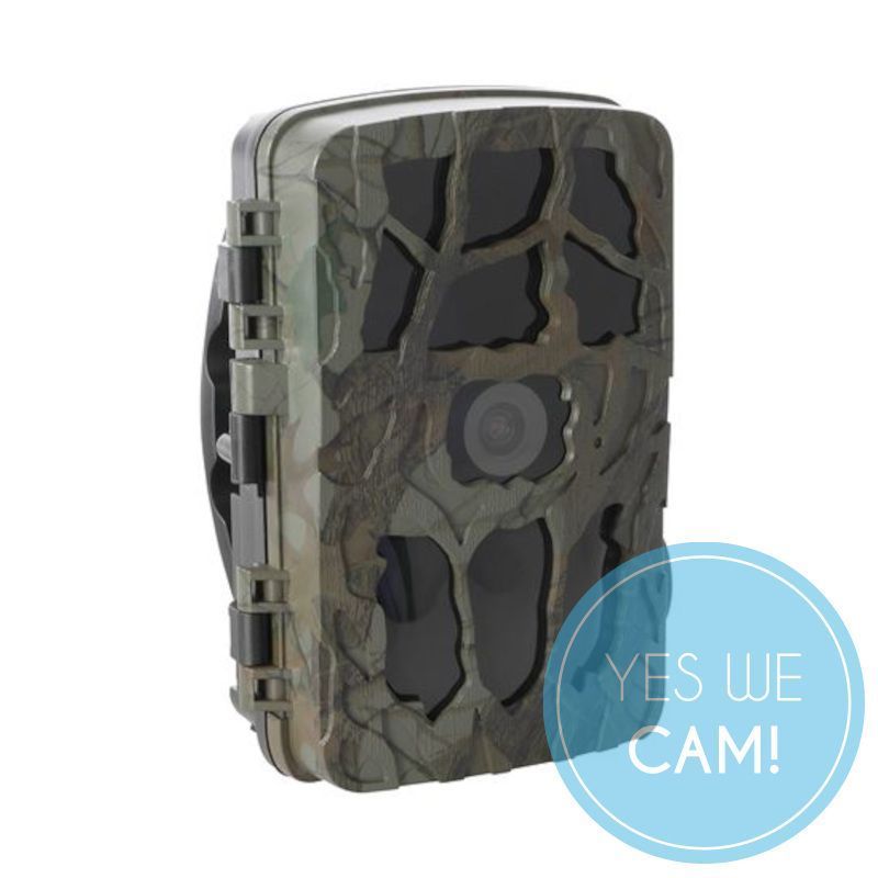 Outdoor Club Wildkamera Night Vision 4K Naturaufnahmen 