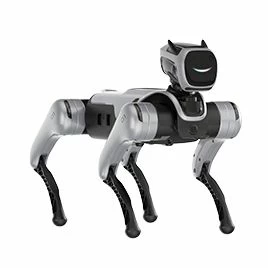 MagicDog im TONEART-Shop